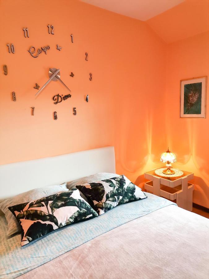 Apartment Andjela Ζλάτιμπορ Εξωτερικό φωτογραφία