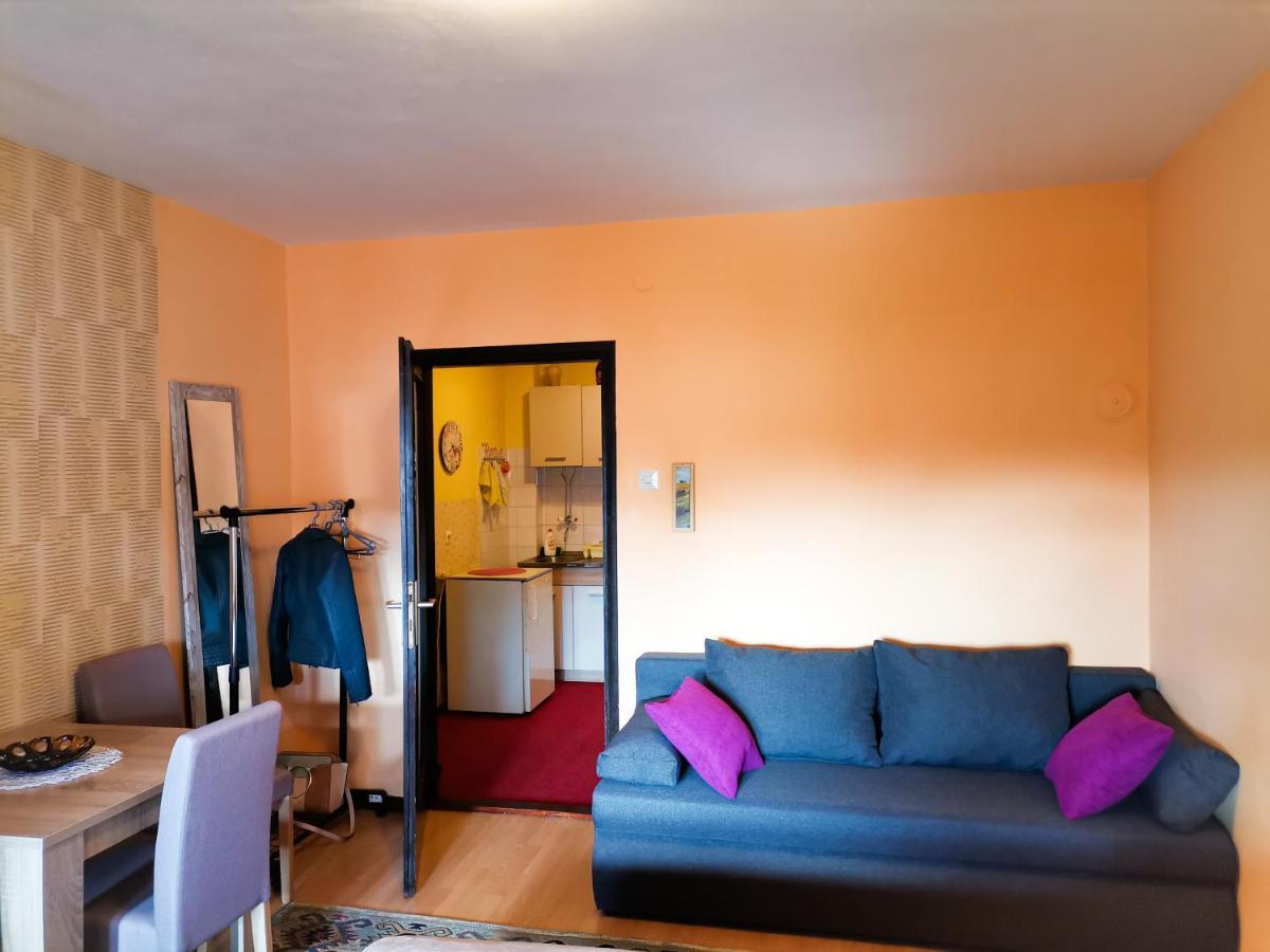 Apartment Andjela Ζλάτιμπορ Εξωτερικό φωτογραφία