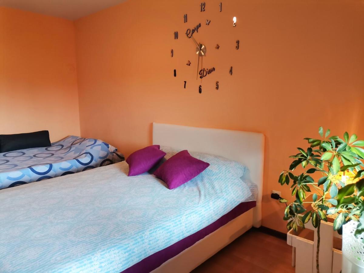 Apartment Andjela Ζλάτιμπορ Εξωτερικό φωτογραφία