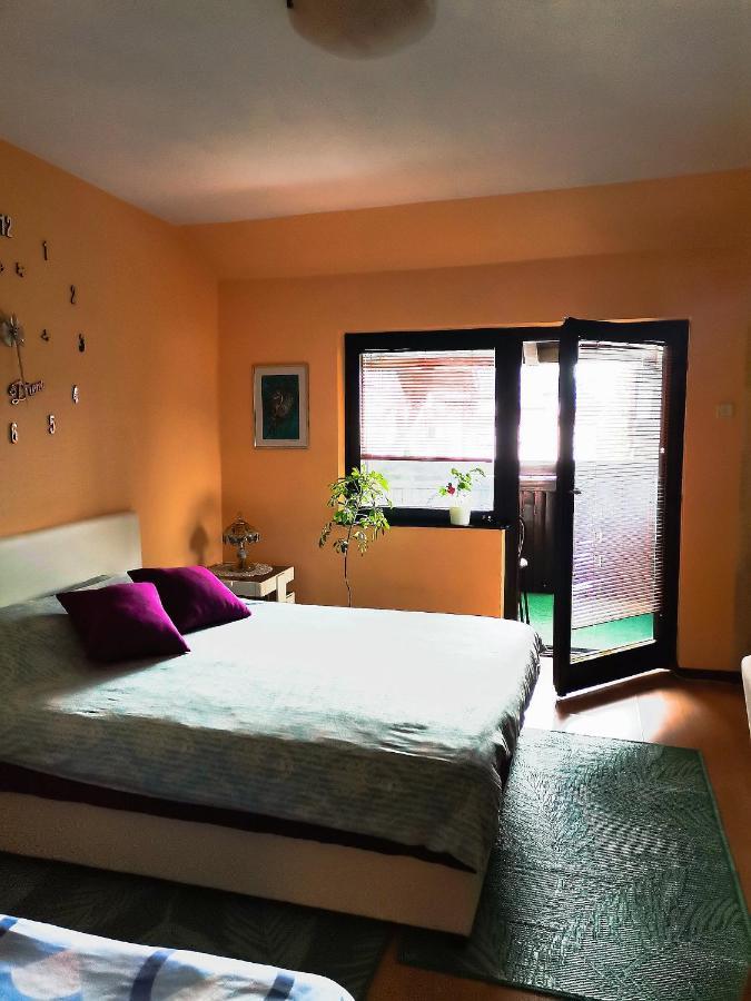 Apartment Andjela Ζλάτιμπορ Εξωτερικό φωτογραφία