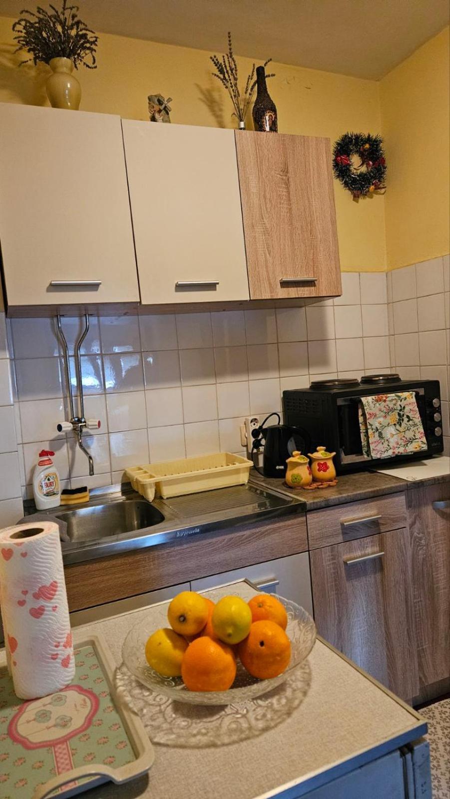 Apartment Andjela Ζλάτιμπορ Εξωτερικό φωτογραφία