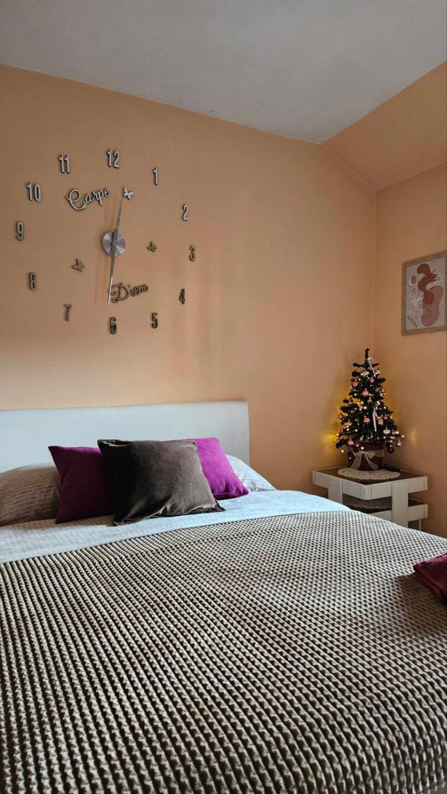 Apartment Andjela Ζλάτιμπορ Εξωτερικό φωτογραφία